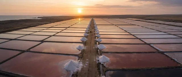 Salinas de producción